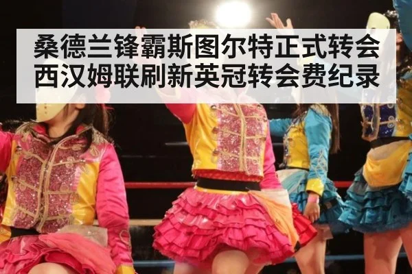 桑德兰锋霸斯图尔特正式转会西汉姆联刷新英冠转会费纪录