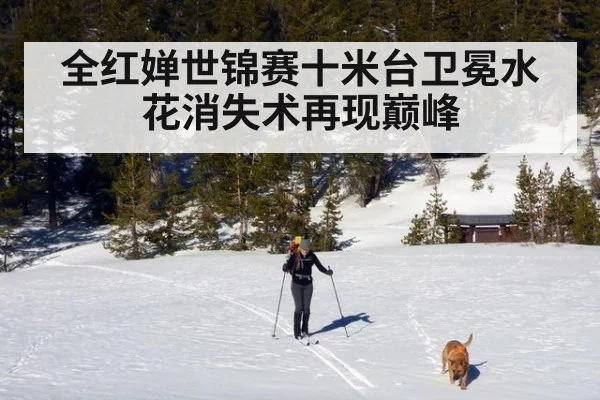 全红婵世锦赛十米台卫冕水花消失术再现巅峰